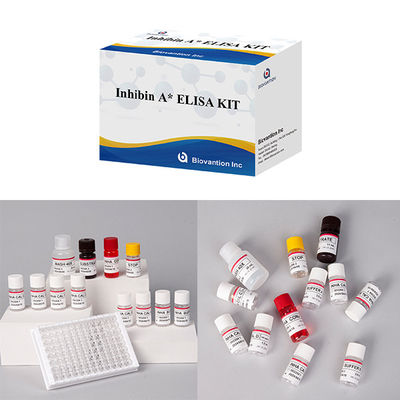 Laboratório ou Hospital Kit de Teste Elisa de Alta Precisão de Inibição A Diagnóstico