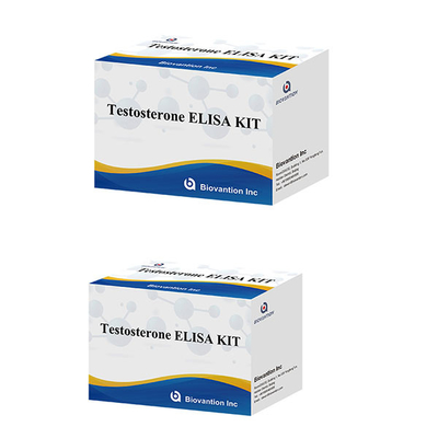 Hormônio sexual masculino Hormônio testosterona (Quantitativo) Kit de teste Elisa para diagnóstico