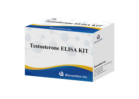Hormônio sexual masculino Hormônio testosterona (Quantitativo) Kit de teste Elisa para diagnóstico