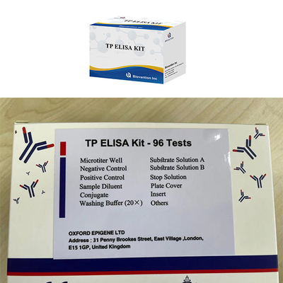 Infecção masculina e feminina Sífilis alta TP Ab Anticorpo ELISA TEST KIT