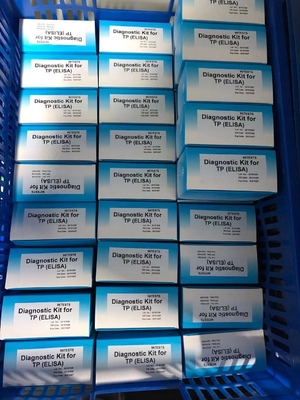Anti-TP Treponema Pallidum Kit de teste ELISA Sério / plasma Diagnóstico médico