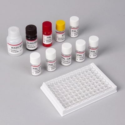 Hospitais Laboratórios Clínicas Usar Prolactina Imunoanálise Quantitativa ELISA TEST KIT