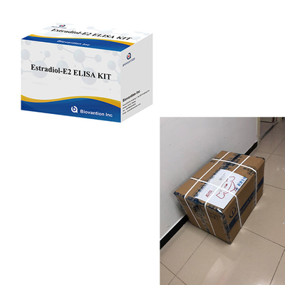 Para laboratório ou hospital Kit de ensaio Elisa de estradiol de alta precisão