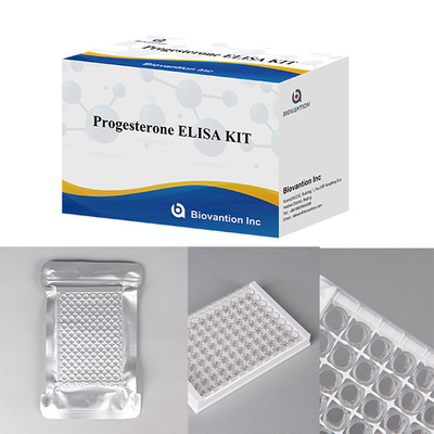 Hospitais Laboratórios Clínicas Usam Progesterona Imunoanálise Quantitativa ELISA TEST KIT