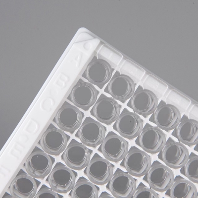 Hospitais Laboratórios Clínicas Usam Progesterona Imunoanálise Quantitativa ELISA TEST KIT