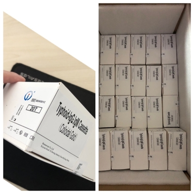 Tifoide--IgM&IgG para laboratórios e hospitais Kit de teste rápido de febre tifoide