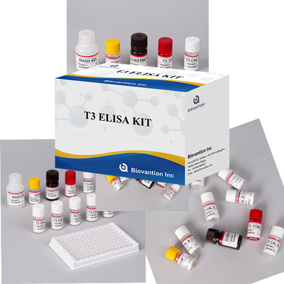 Laboratório Hospitalar Clínica Kit de Teste ELISA de T3 Triiodotironina amplamente utilizado