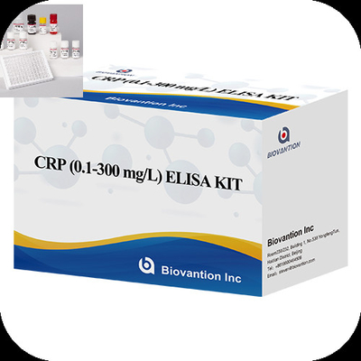 Enzima ligada Imune Reagentes de Alta Sensibilidade C Proteína Reativa CRP Kit de Teste Elisa