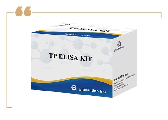 96T Solução de detecção Anticorpo sífilis Imunoanálise ligada a enzimas Kit de ensaio Elisa