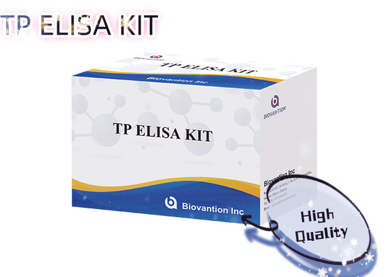 96T Solução de detecção Anticorpo sífilis Imunoanálise ligada a enzimas Kit de ensaio Elisa