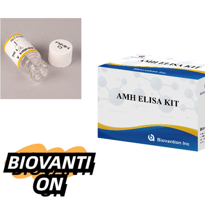 Anti-Mullerian Hormone Elisa Test Kit AMH ELISA Immunoassay Detection Kit Utilização prevista