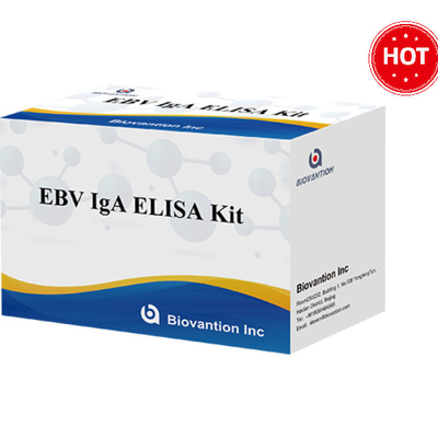 EBV-VCA IgA Ab ELISA Teat Kit Kit de Imunoanálise