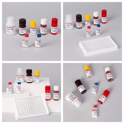 Reagentes de Imunoanálise de Enzimas Kit de Teste Elisa para Detecção de Anticorpos CMV Cytomegalovirus