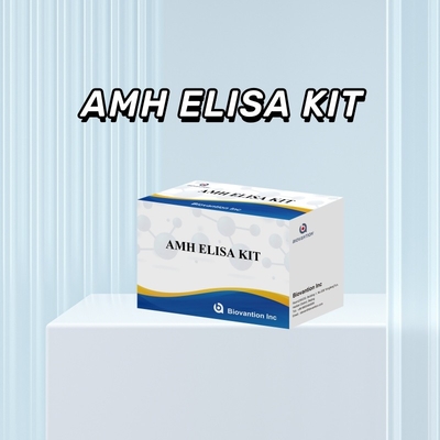 Kit de ensaio Elisa AMH para análises imunoenzimáticas de hormônio anti-Mullerian AMH