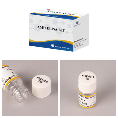 Kit de ensaio Elisa AMH para análises imunoenzimáticas de hormônio anti-Mullerian AMH