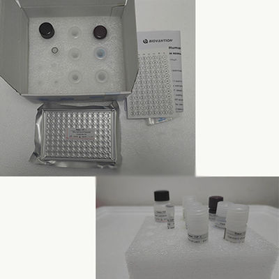 Kit de ensaio TNF-α RUO Elisa humano