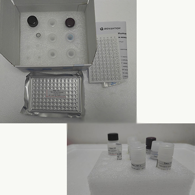 Kit de ensaio Elisa para soro humano de TNF-α RUO com 96 testes
