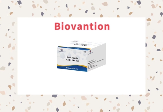 Especificidade Biovantion Rat Estradiol E2 Elisa Test Kit - 96 Testes Armazenamento a 2-8.C