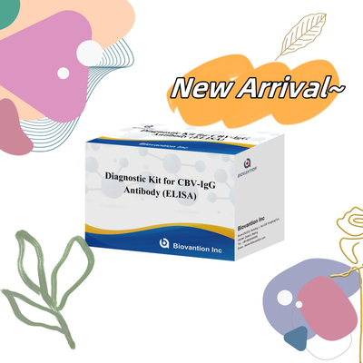 Kit de diagnóstico de sensibilidade para CBV-IgG Anticorpo humano detecta kits Elisa para detecção precisa do tipo de amostra