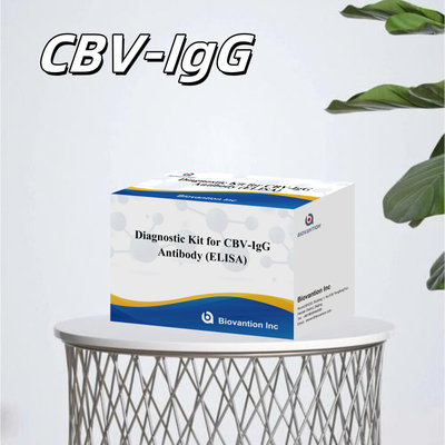 Kit de diagnóstico de sensibilidade para CBV-IgG Anticorpo humano detecta kits Elisa para detecção precisa do tipo de amostra