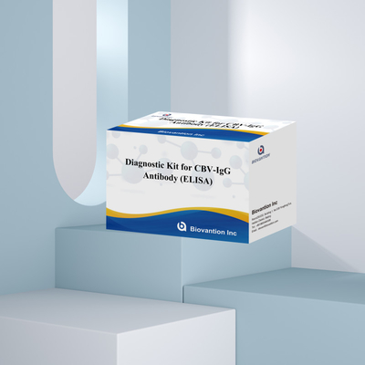 Kit de diagnóstico de sensibilidade para CBV-IgG Anticorpo humano detecta kits Elisa para detecção precisa do tipo de amostra