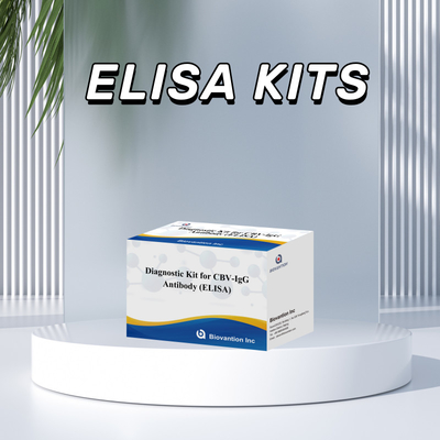 Kit de diagnóstico de sensibilidade para CBV-IgG Anticorpo humano detecta kits Elisa para detecção precisa do tipo de amostra