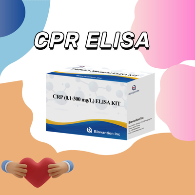 Reagente de diagnóstico de detecção humana Elisa rápido e confiável cerca de CRP 0,1-300 mg/L