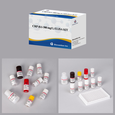 Reagente de diagnóstico de detecção humana Elisa rápido e confiável cerca de CRP 0,1-300 mg/L