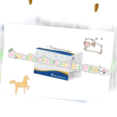 Kit de ensaio de Brucella elisa RUO Kit de ensaio de Elisa de produtos ligados a enzimas