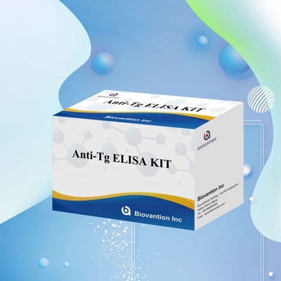 Kit de Diagnóstico Elisa para Anticorpos Humanos Anti-Tg Anti-Tg para Hospital e Laboratório