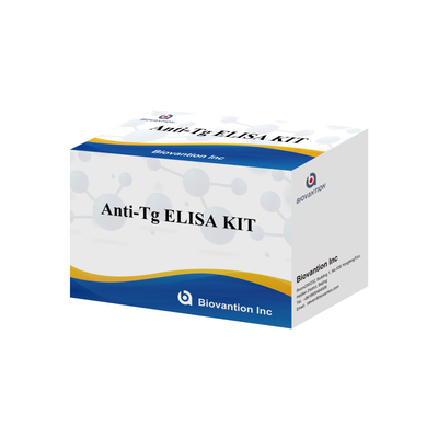 Kit de Diagnóstico Elisa para Anticorpos Humanos Anti-Tg Anti-Tg para Hospital e Laboratório