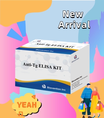 Kit de Diagnóstico Elisa para Anticorpos Humanos Anti-Tg Anti-Tg para Hospital e Laboratório