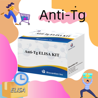 Kit de Diagnóstico Elisa para Anticorpos Humanos Anti-Tg Anti-Tg para Hospital e Laboratório
