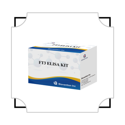 FT3 Triiodotironina livre para reagente de diagnóstico humano Kit com teste ELISA 96T Para laboratório de hospital clínico