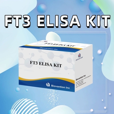 FT3 Triiodotironina livre para reagente de diagnóstico humano Kit com teste ELISA 96T Para laboratório de hospital clínico