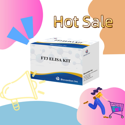 FT3 Triiodotironina livre para reagente de diagnóstico humano Kit com teste ELISA 96T Para laboratório de hospital clínico