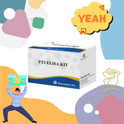 FT3 Triiodotironina livre para reagente de diagnóstico humano Kit com teste ELISA 96T Para laboratório de hospital clínico