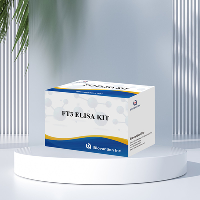 FT3 Triiodotironina livre para reagente de diagnóstico humano Kit com teste ELISA 96T Para laboratório de hospital clínico