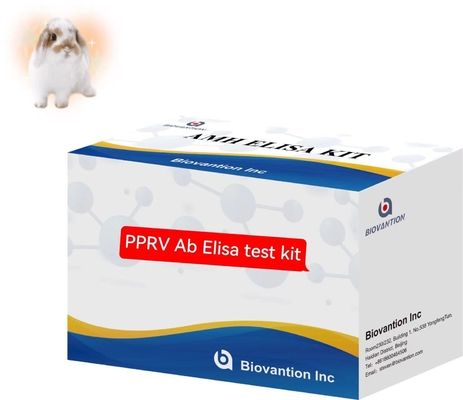Peste Des Petits Ruminantes PPRV Ab Kit ELISA Kit de ensaio veterinário