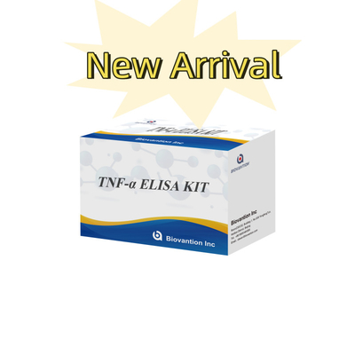 TNF-α RUO Elisa Test For Serum Plasma Solução de diagnóstico precisa e conveniente para investigação