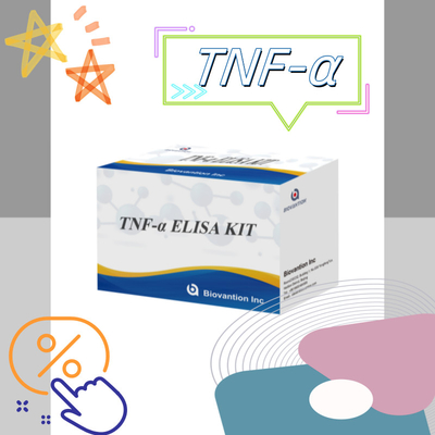 TNF-α RUO Elisa Test For Serum Plasma Solução de diagnóstico precisa e conveniente para investigação