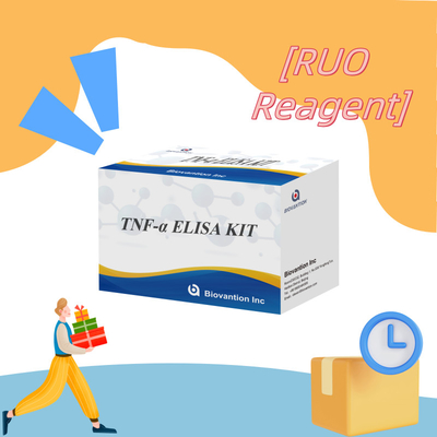 TNF-α RUO Elisa Test For Serum Plasma Solução de diagnóstico precisa e conveniente para investigação
