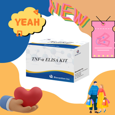 TNF-α RUO Elisa Test For Serum Plasma Solução de diagnóstico precisa e conveniente para investigação