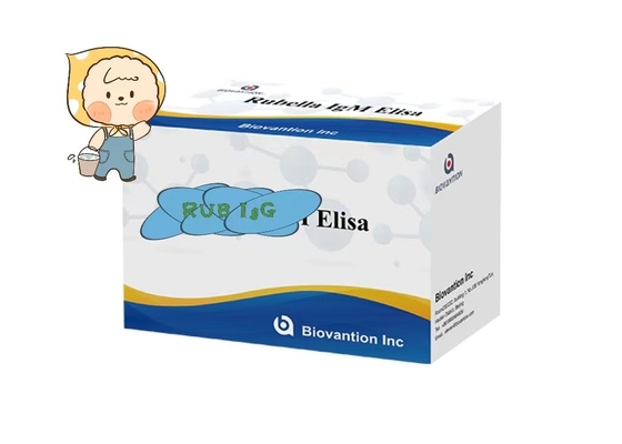 Rubéola IgG ELisa Kit de Teste de Fertilidade Troch Utilizar por mulheres grávidas