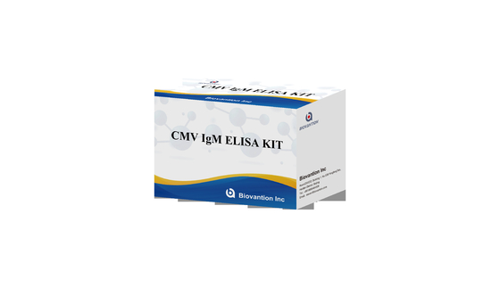 CMV IgM ELISA Kit Alta precisão Mulheres grávidas Teste preventivo
