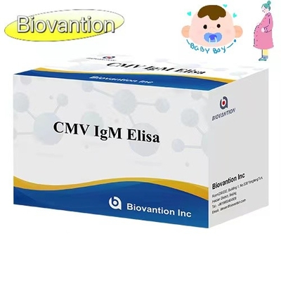 CMV IgM ELISA Kit Alta precisão Mulheres grávidas Teste preventivo
