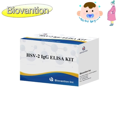 Instruções de alta precisão para utilização do kit de ensaio ELISA de tocha de IgG HSV II