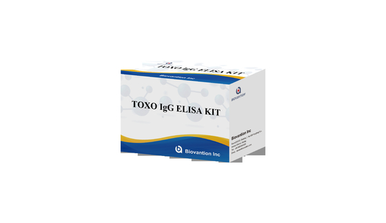 Kit de teste TOXO IgG ELISA de alta sensibilidade de tocha Teste hospitalar Verificação de gravidez