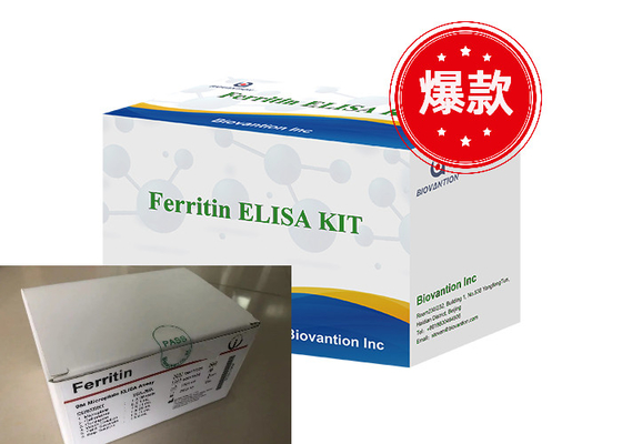 Ferritina Elisa Test Kit Produtos ligados a enzimas Tempo de transporte curto