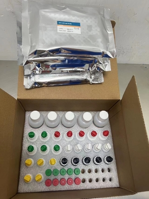 Anticorpos anti-HCV para o vírus da hepatite C Tempo de transporte ligado a enzimas curto